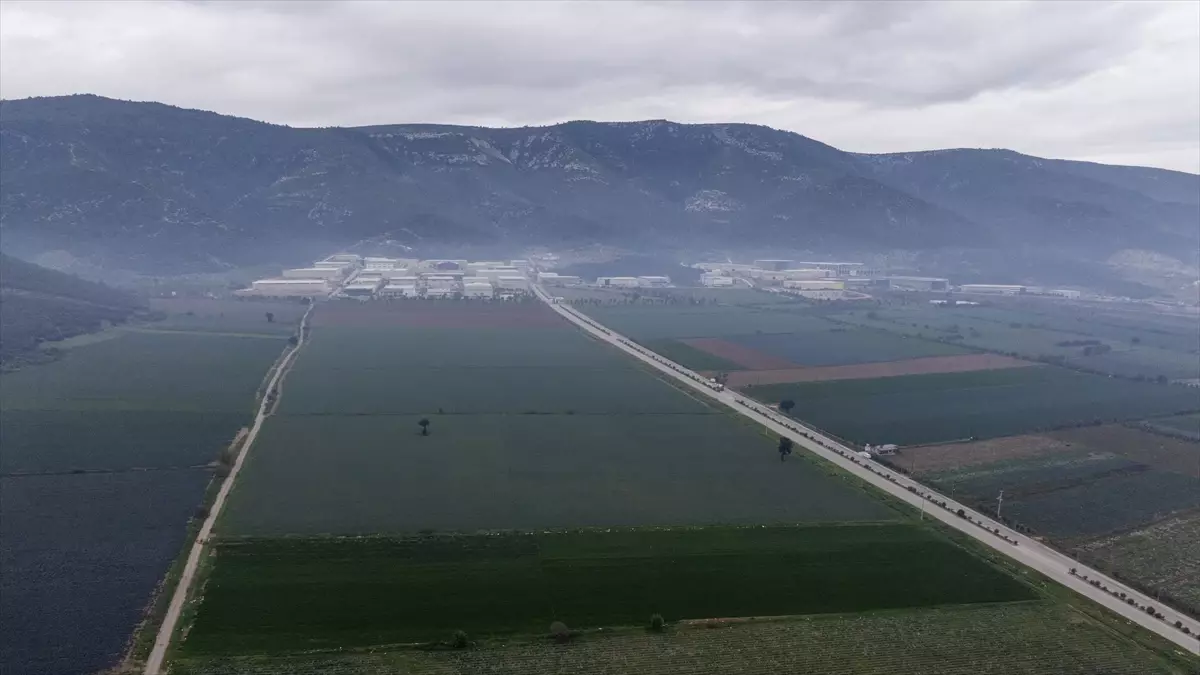 İzmir’in Kışlık Sebze Üretiminde Kayda Değer Artış
