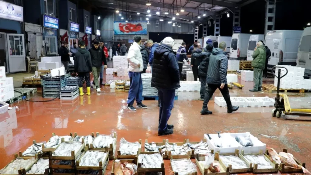 Ereğli ve Başiskele’de Hamsi Dominasyonu