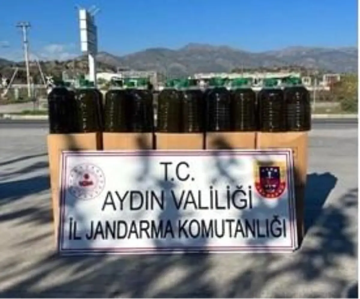 Aydın’da 500 kg Sahte Zeytinyağı Operasyonu: Jandarma Büyük Tutuştu!
