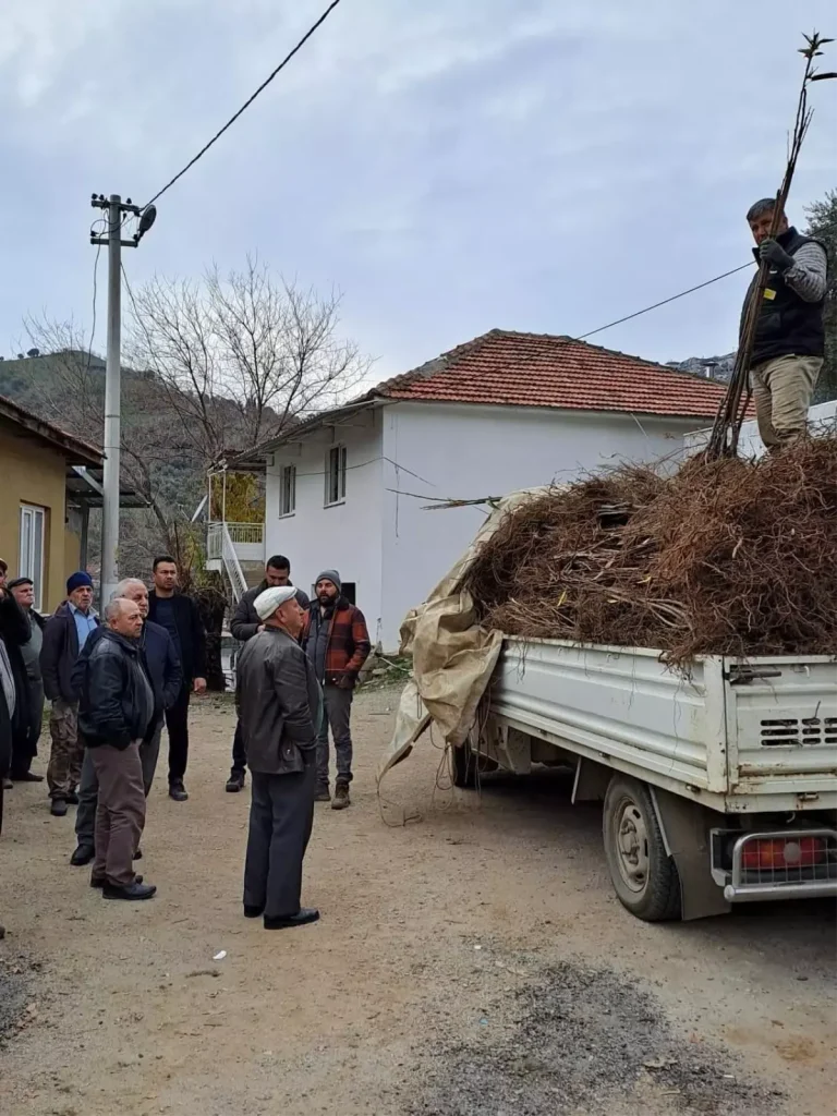 Köşk’te Kestane Fidanı Dağıtımı