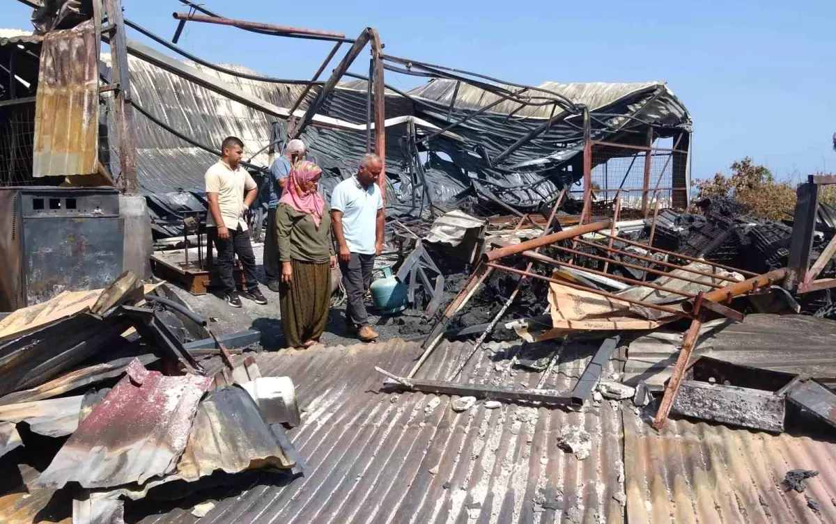 Şüpheli Kundakçıya 4 Yıl 2 Ay Hapis: Mersin’de Düğün Gecesi Yangını Büyük Skandal Yarattı