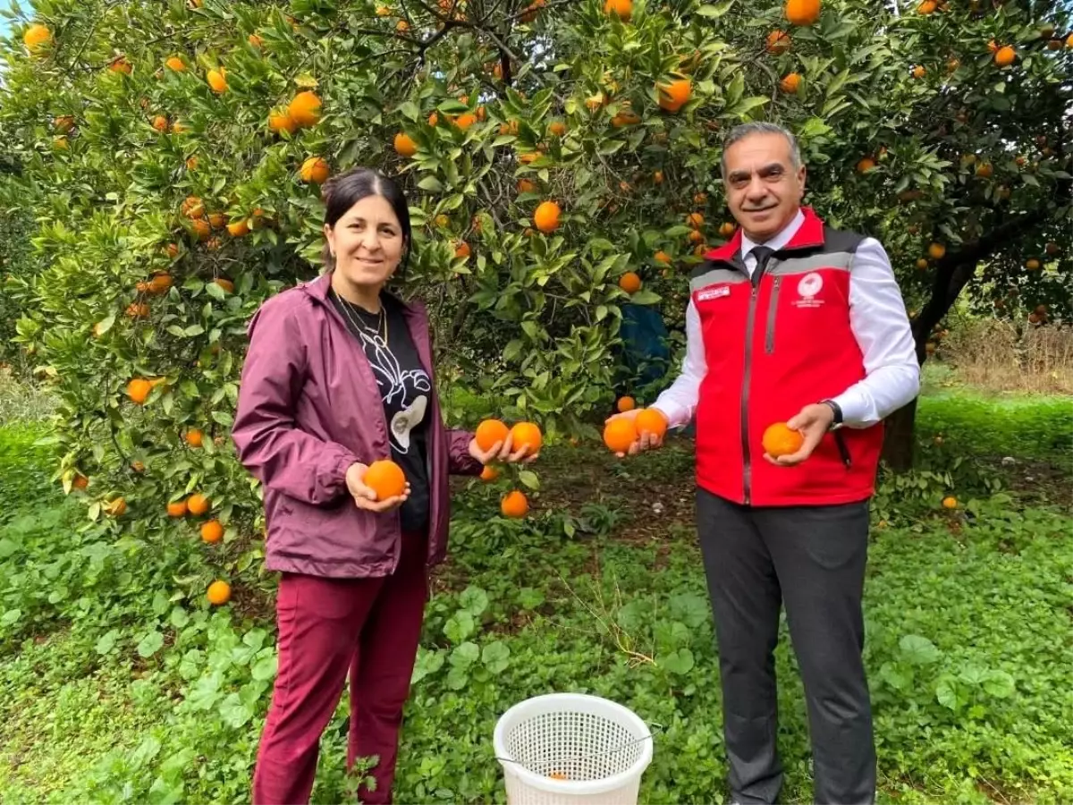 Kuyucak’ta Portakal Hasadı Coşkusu ve EKÜY Belgeleri Takdim Edildi