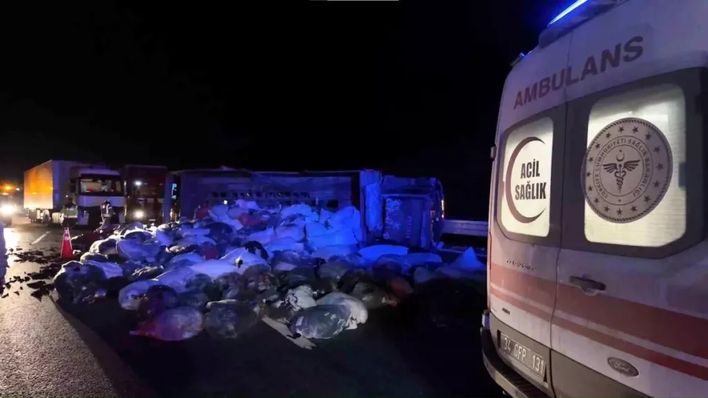 Kuzey Marmara Otoyolu’nda Tır Çarptı: Kamyonet Devrildi, Yol Kapandı