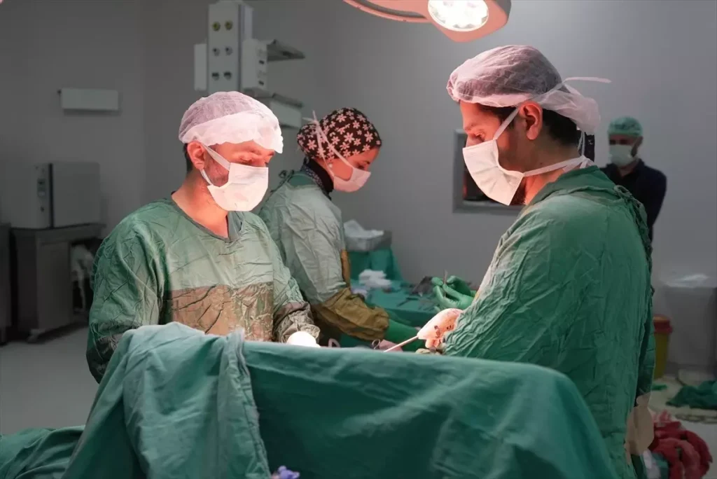 2 Kilogramlık Dev Tümör Malatya’da Başarılı Ameliyatla Alındı