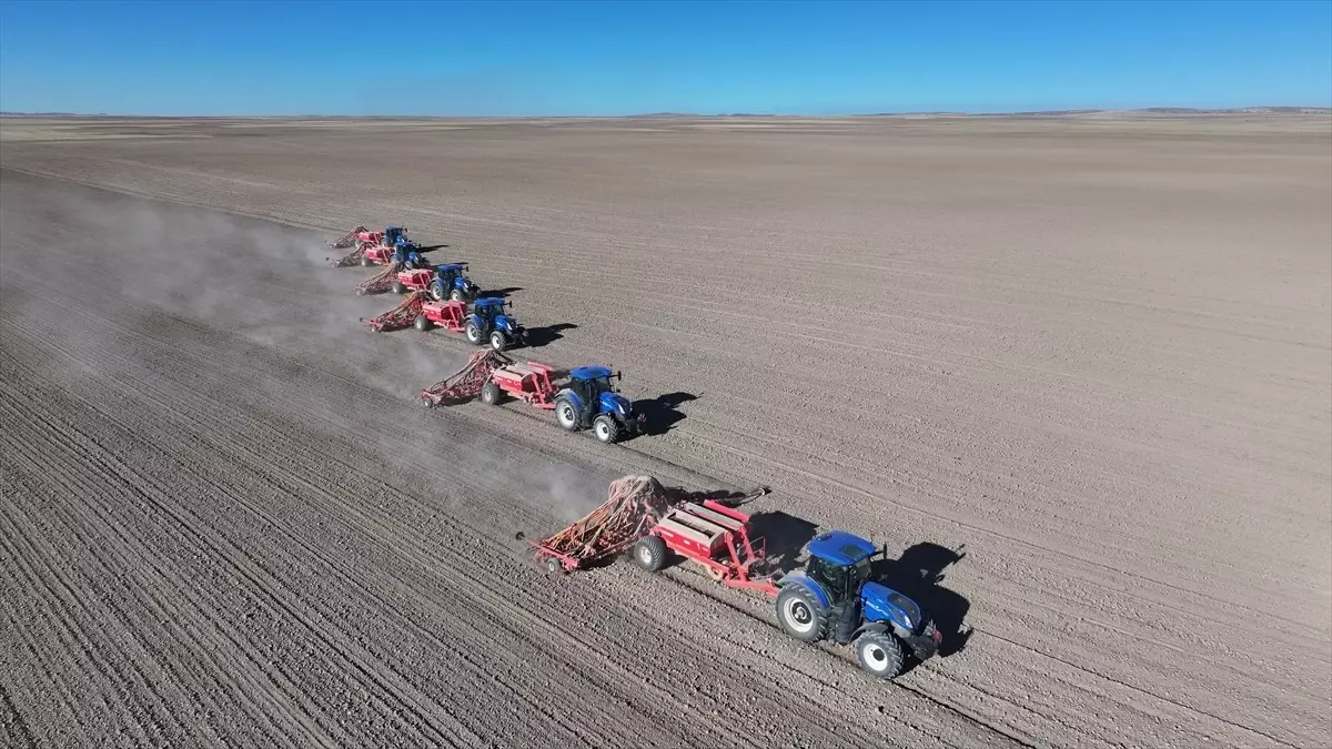 Kuraklığa Dayanıklı Tohum Üretimi Kırşehir’de Başladı