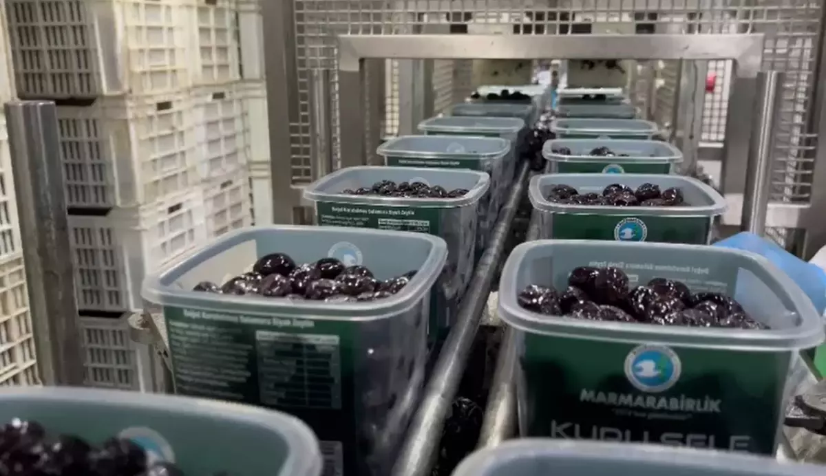 TSK’ya Zeytin Protokolü: Marmarabirlik’ten Askeri Mutfağa Sağlıklı ve Güvenilir Ürünler