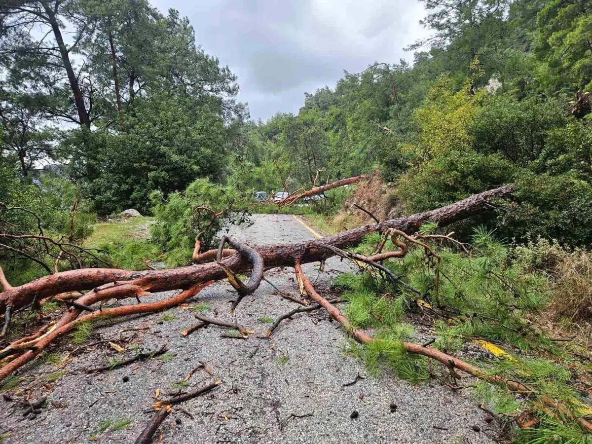Menteşe Akbük’te Şiddetli Yağış ve Kuvvetli Rüzgar Trafiği Felç Etti!