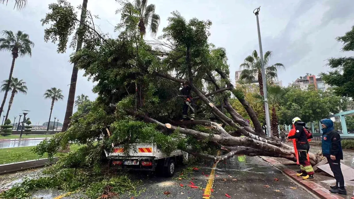 Mersin’de Şiddetli Yağmur Ağaç Devrildi, 3 Araç Hasar Gördü!