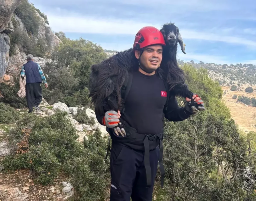 Mersin’de Kayalıklarda Mahsur Kalan 2 Keçi İtfaiye Kahramanları Tarafından Kurtarıldı