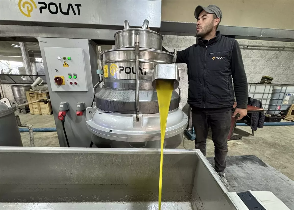 Zeytinyağı Tesisi Mahalleye Yeni İş İmkanı ve Ekonomik Canlılık Getirdi