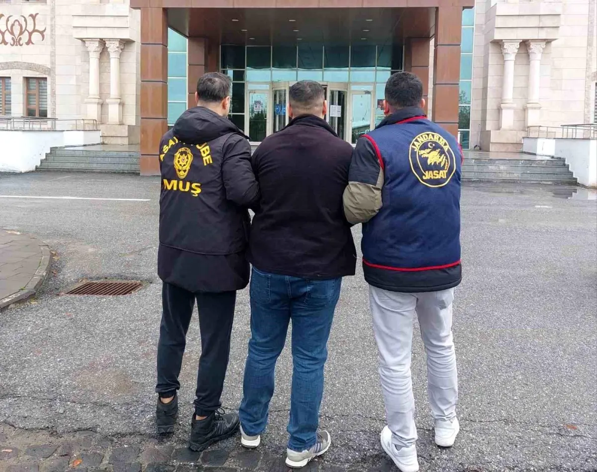 Muş’ta Hırsızlık Hükümlüsü JASAT ve Polis İşbirliğiyle Yakalandı