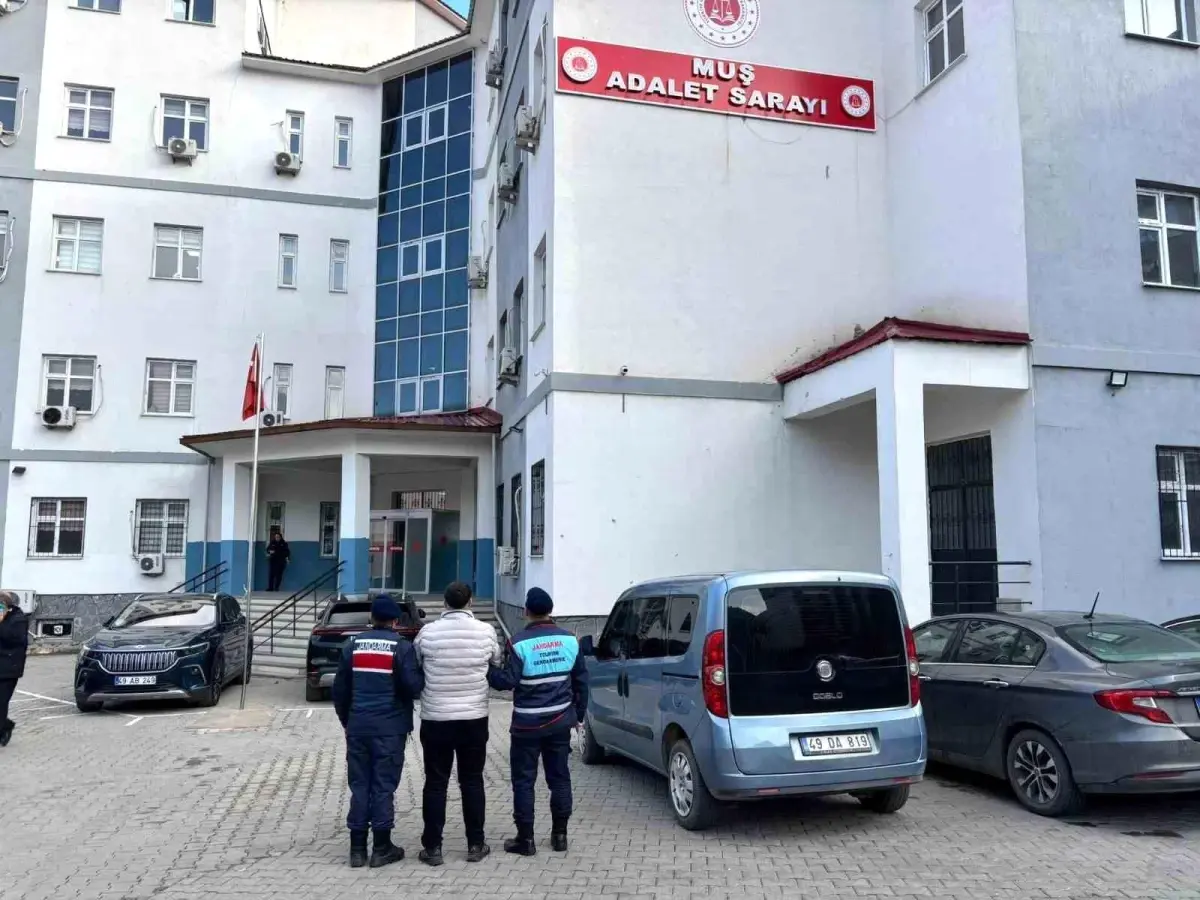 Muş’ta Aranan Dolandırıcı Yakalandı