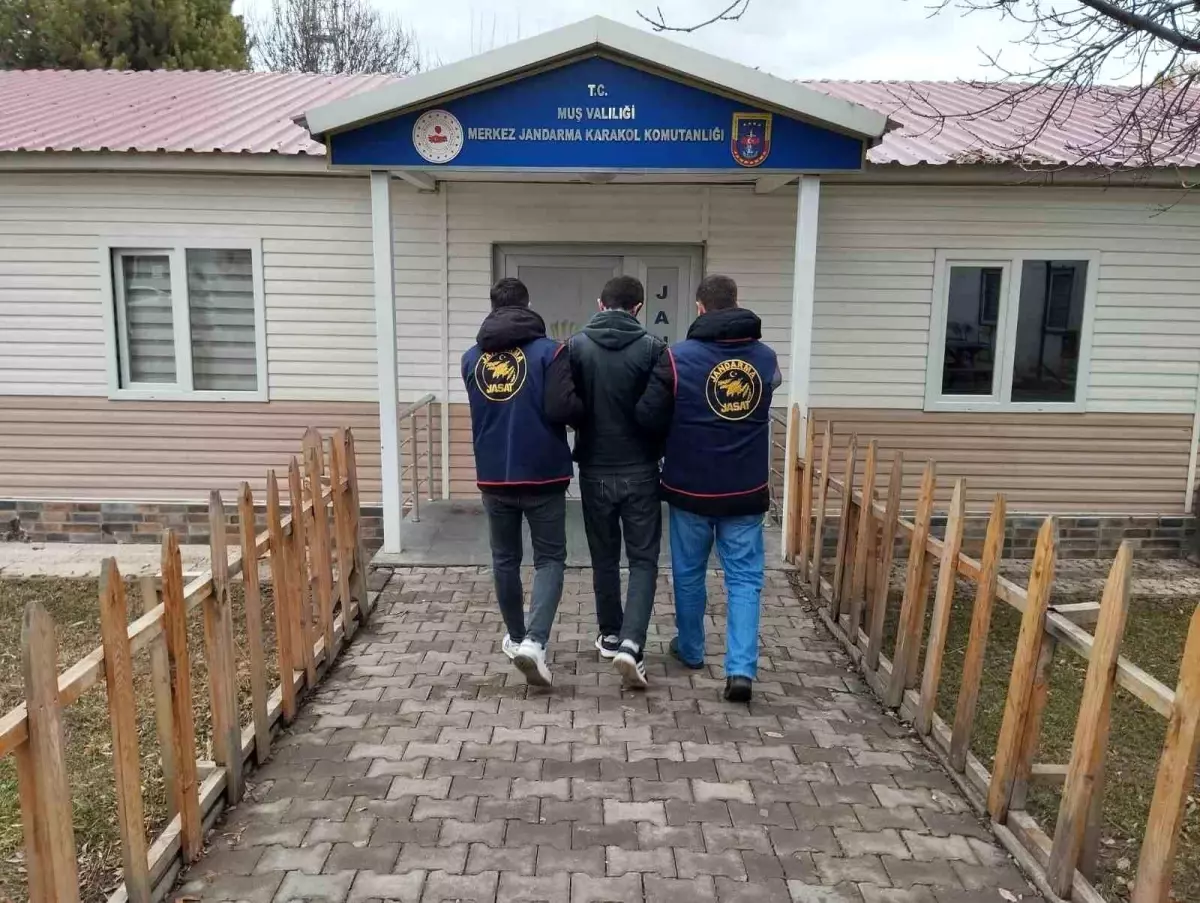 Dolandırıcı Jandarma Operasyonuyla Yakalandı