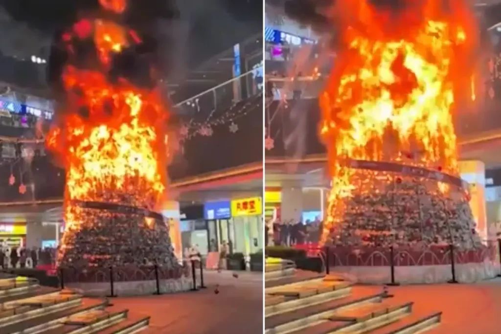 Müslümanlar Noel ağacını ateşe verdi” dendi, gerçek çok başka çıktı