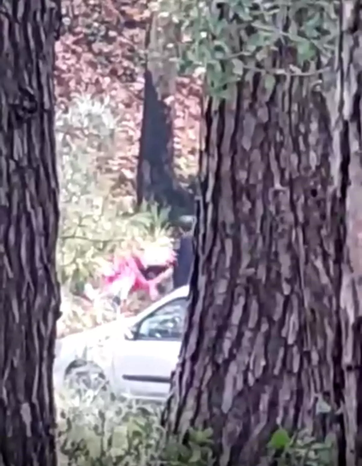 Buca’da Kadına Şiddet Olayı: Polis Şüpheliyi Hızla Yakaldı