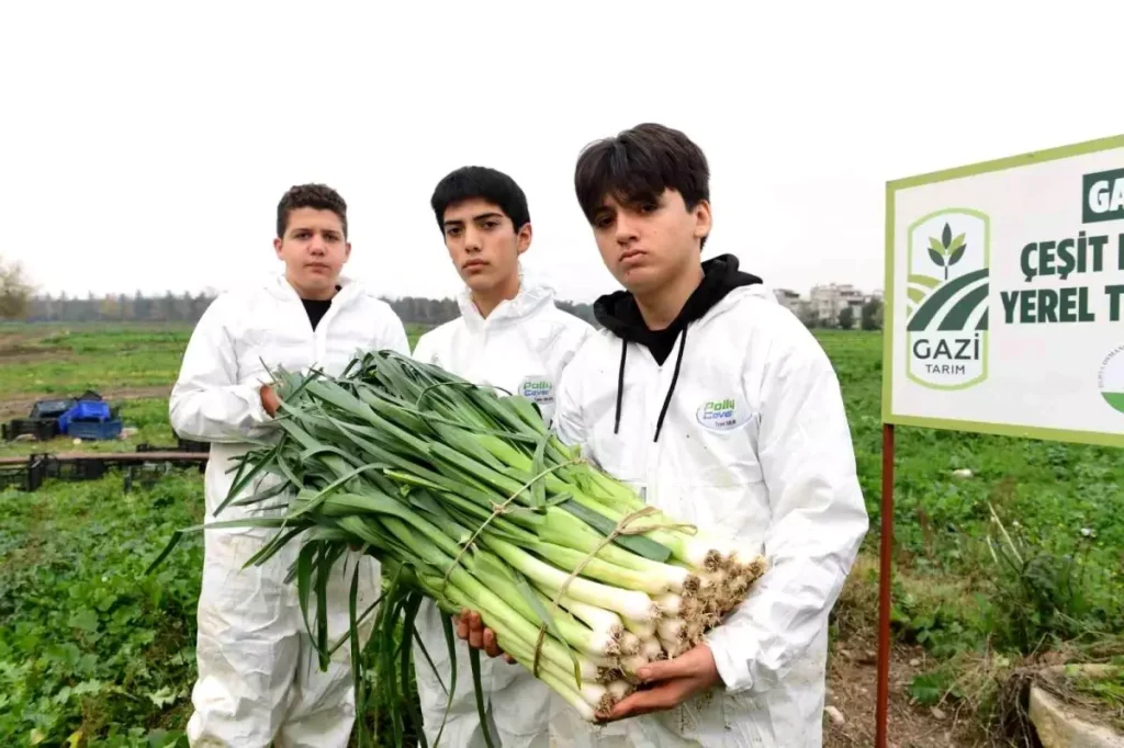 Osmangazi’de Pırasa Hasadıyla Doğallık Sofralara Taşınıyor