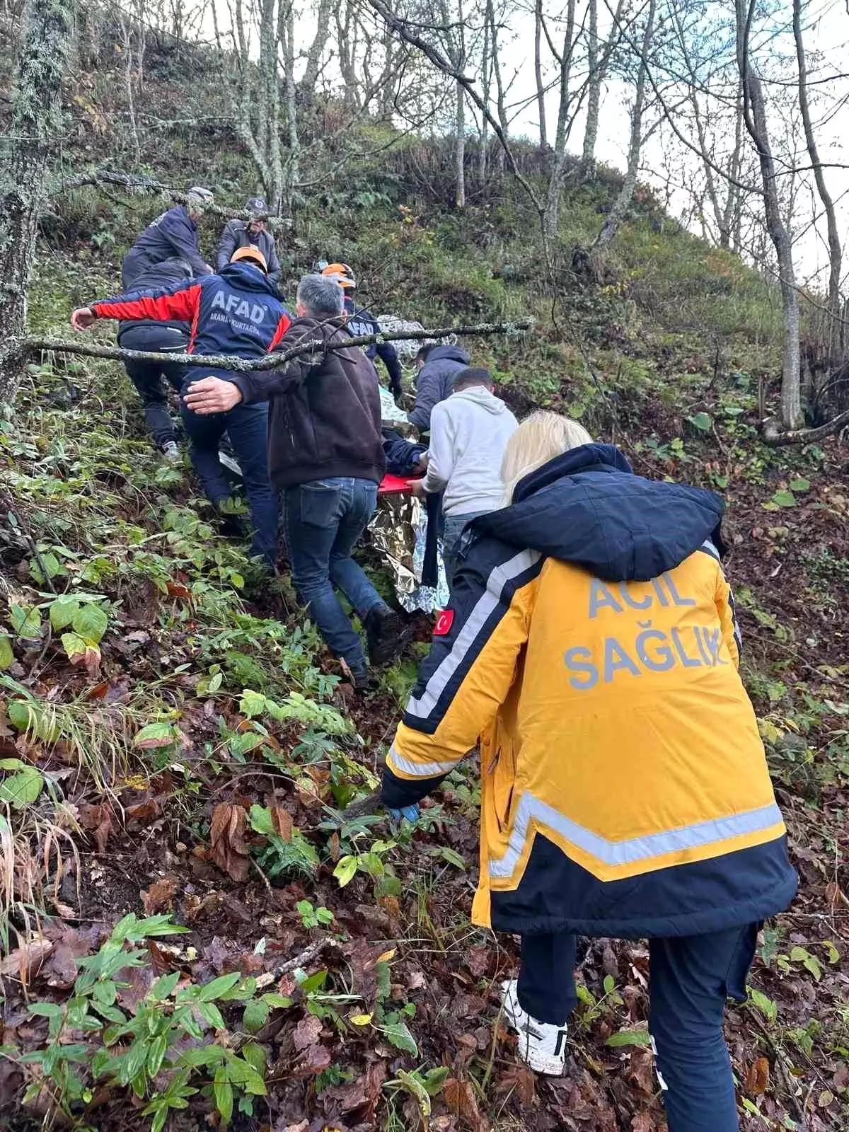 Zonguldak’ta Ormanlık Alana Uçan Otomobilde İki Kişi Yaralandı