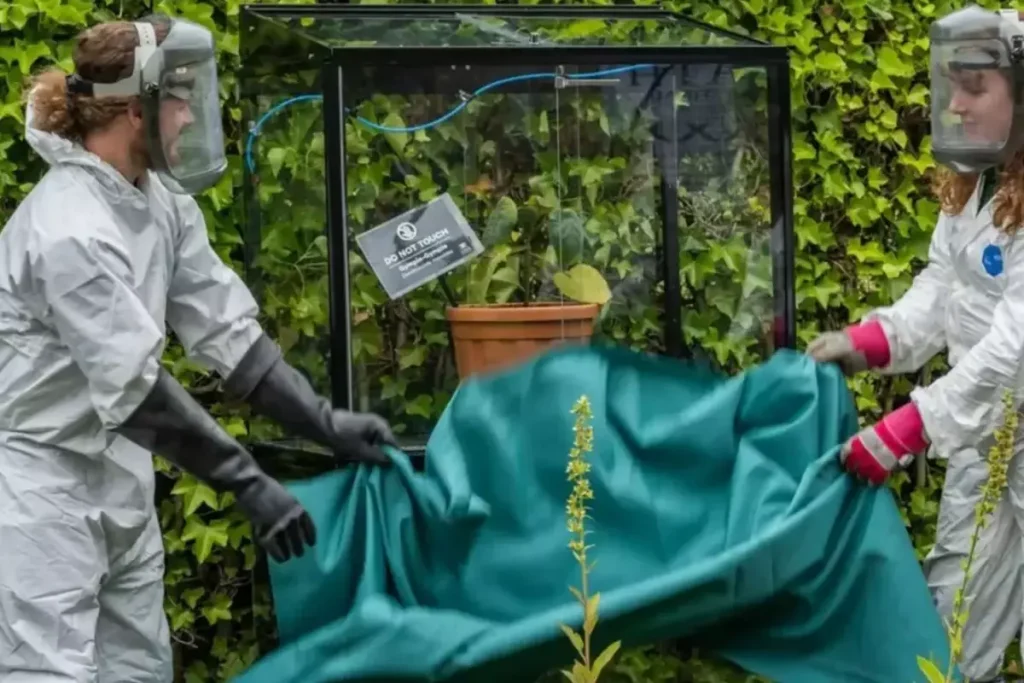 Özel güvenlik kafesinde tutuluyor, bir dokunanı intihara sürüklüyor