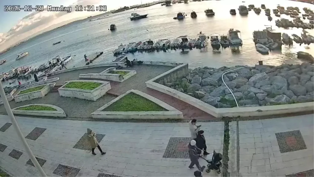 Pendik’te vicdanları sızlatan olay: Kediye tekme atıp denize fırlattı