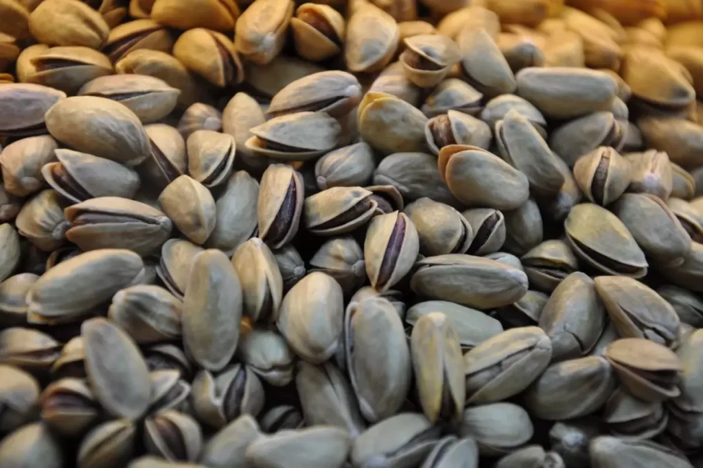 Resmi Gazete’de Yayımlandı! Antep Fıstığı Depolama ve Senet Düzenlemesinde Büyük Değişiklik