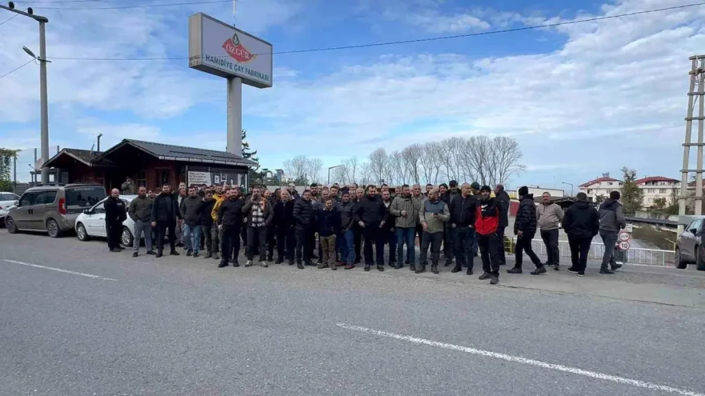 Çay İşçileri Tazminat Savaşında: Özgür Çay’ın Taksit Teklifi Çalışanları Harekete Geçirdi