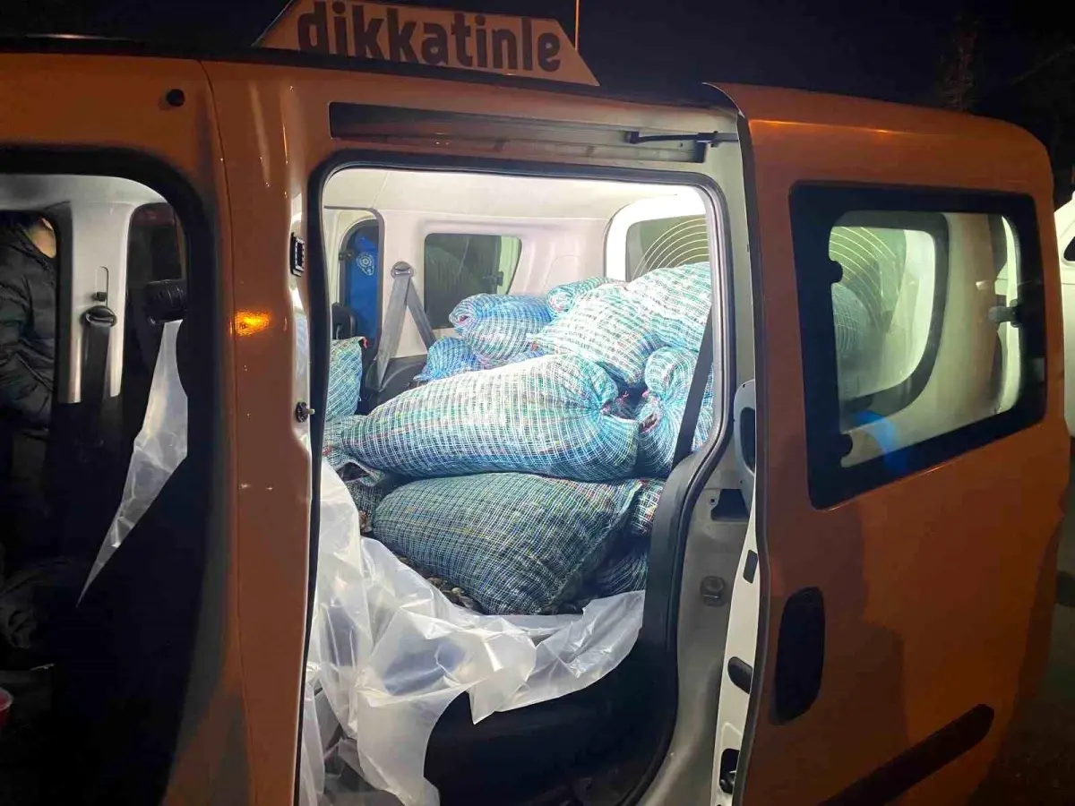 Samsun’da Kaçak Midye Operasyonu: 300 kg Yasadışı Deniz Ürünü Ele Geçirildi
