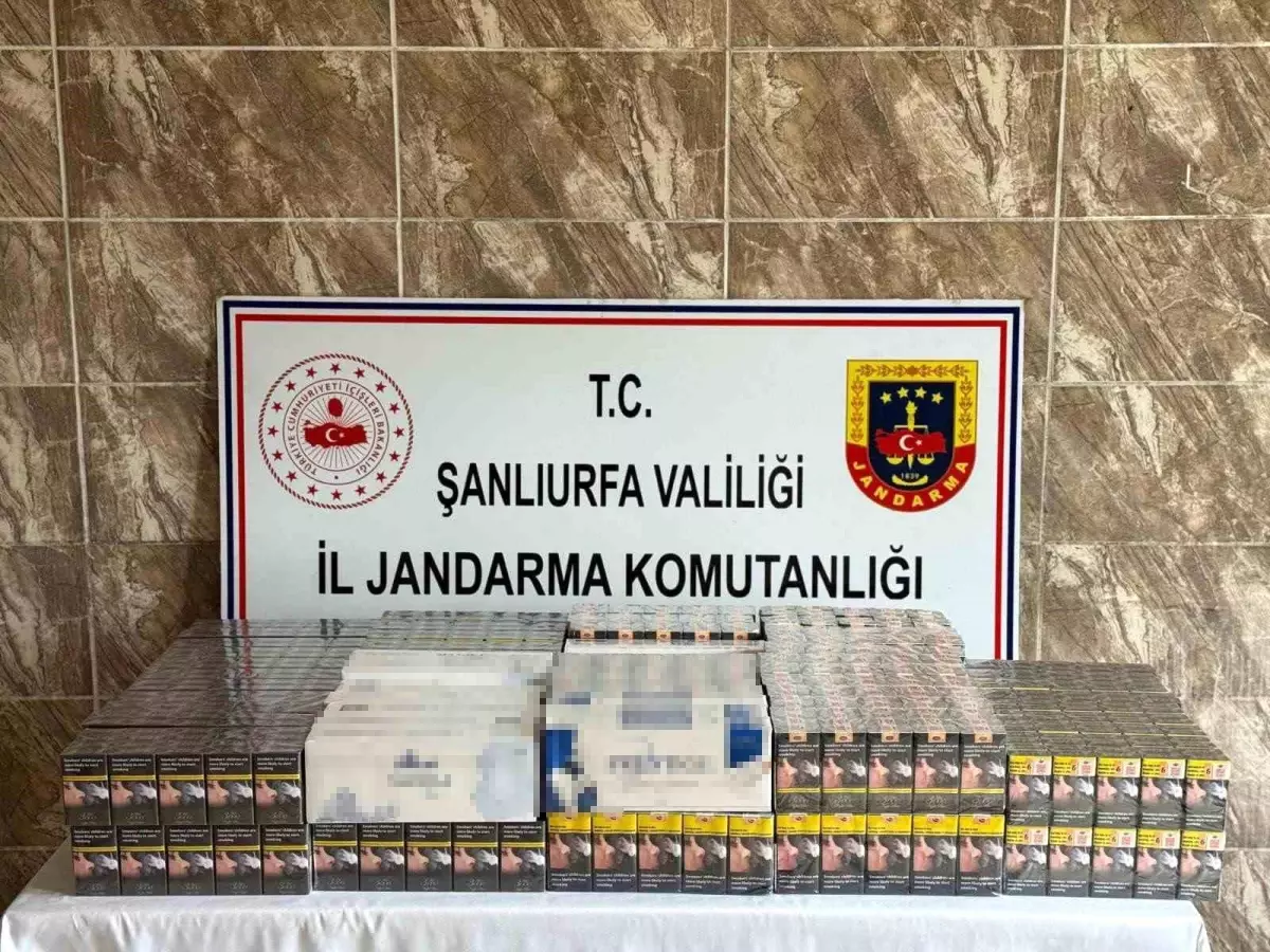Şanlıurfa’da 8 Bin Paket Kaçak Sigara Ele Geçirildi