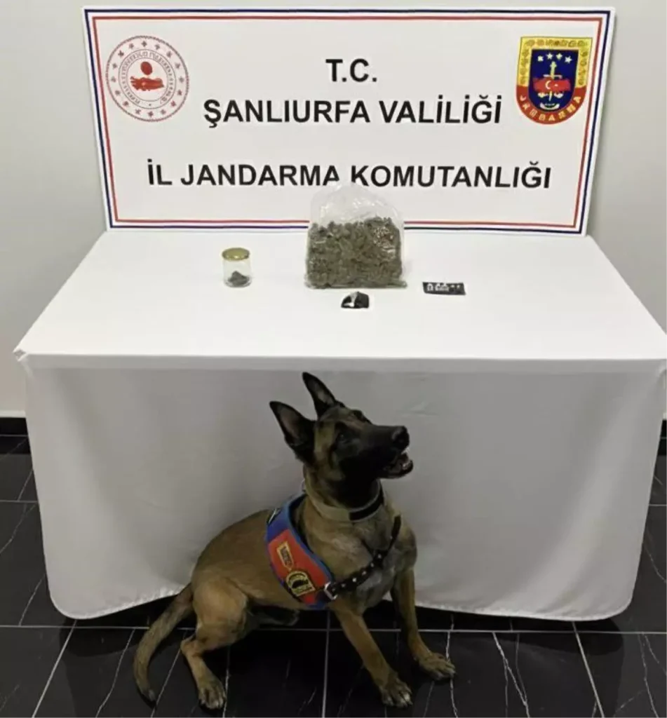 Şanlıurfa’da Uyuşturucu Operasyonu