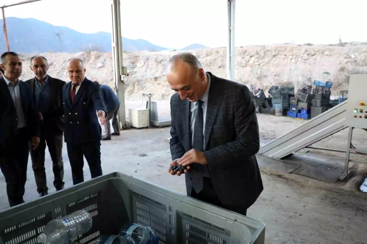 Sarıcakaya’da Zeytin Üretimi Değerlendirildi