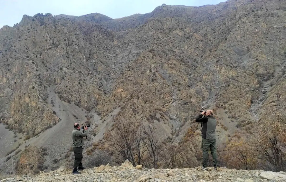 Siirt’te Kaçak Avcılığa Ceza