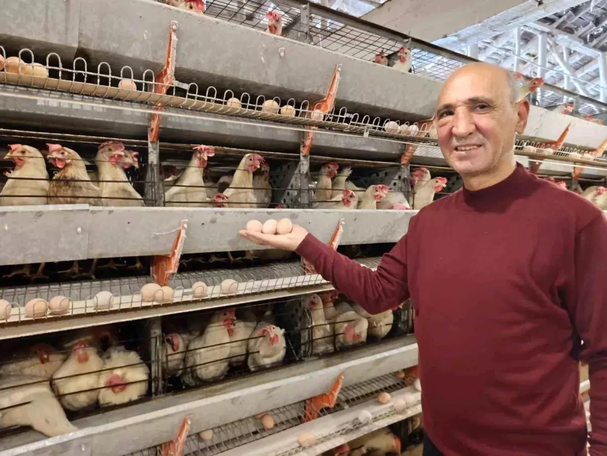 Kuşu’da Yeni Yumurta Üretim Tesisi Günde 15 Bin Yumurta Üretiyor