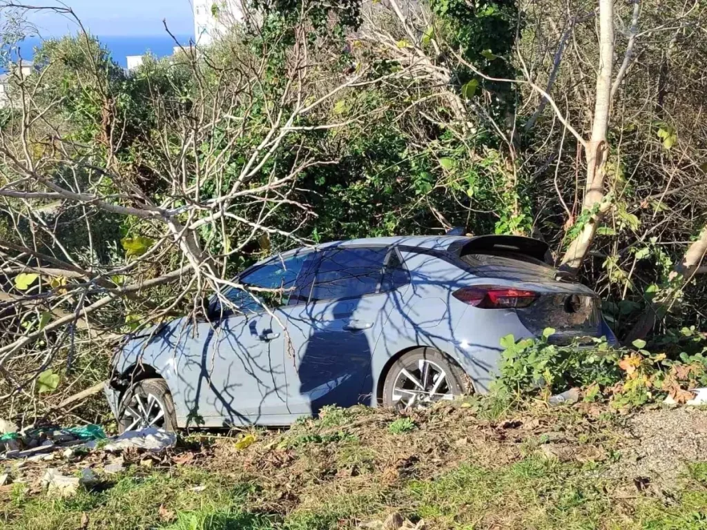 Sinop’ta otomobil ağaçlık alana devrildi