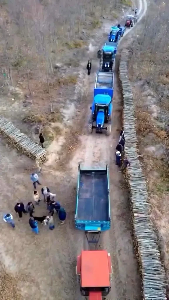 Boyabat’ta Kış Hazırlıkları İçin Odun Dağıtımı: Köylüler İçin Hayati Destek