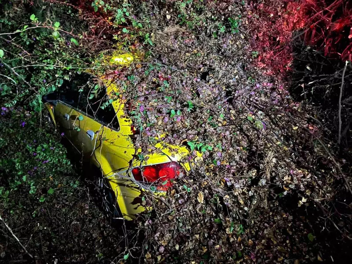 Mersin’de Ağaç Otomobil Üzerine Devrildi