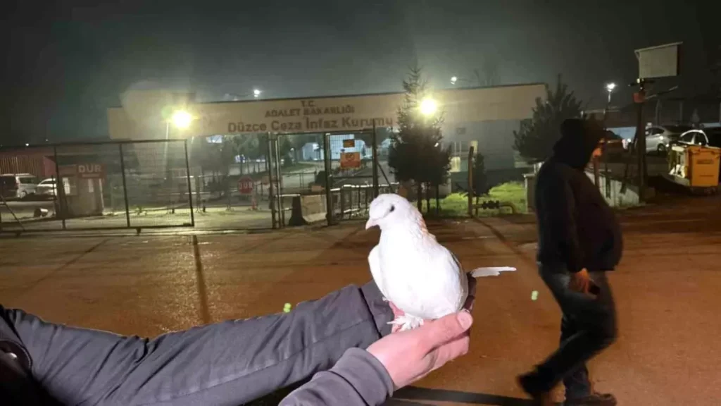 Düzce Cezaevinde 326 Mahkum Tahliye Edildi