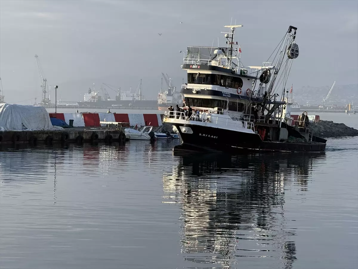 Tekirdağ’da İstavrit Bereketi