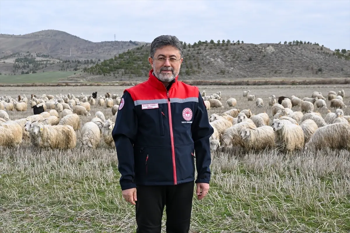 Tiftik Keçisi Üretimi Ekonomide Yeni Bir Devir Başlatacak