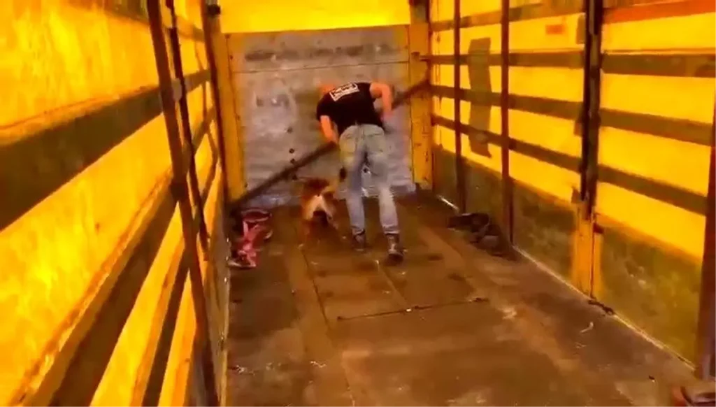 Hatay’da 220 Bin Captagon Hap Ele Geçirildi