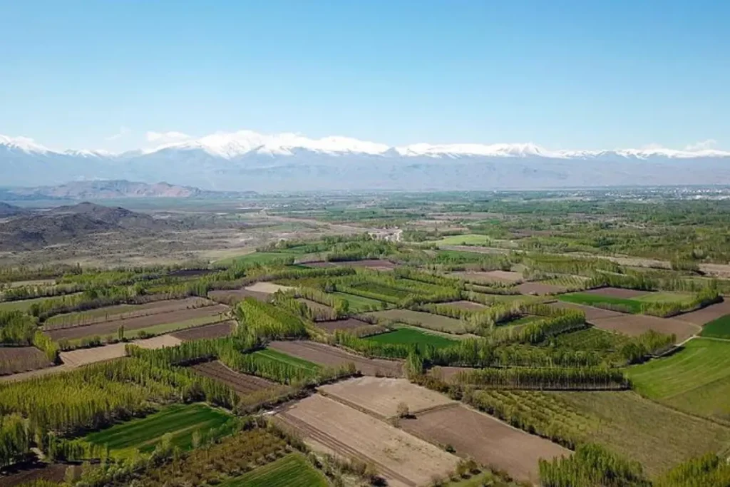 TOKİ, İstanbul dahil 37 ilde yüzlerce arsayı satışa çıkardı