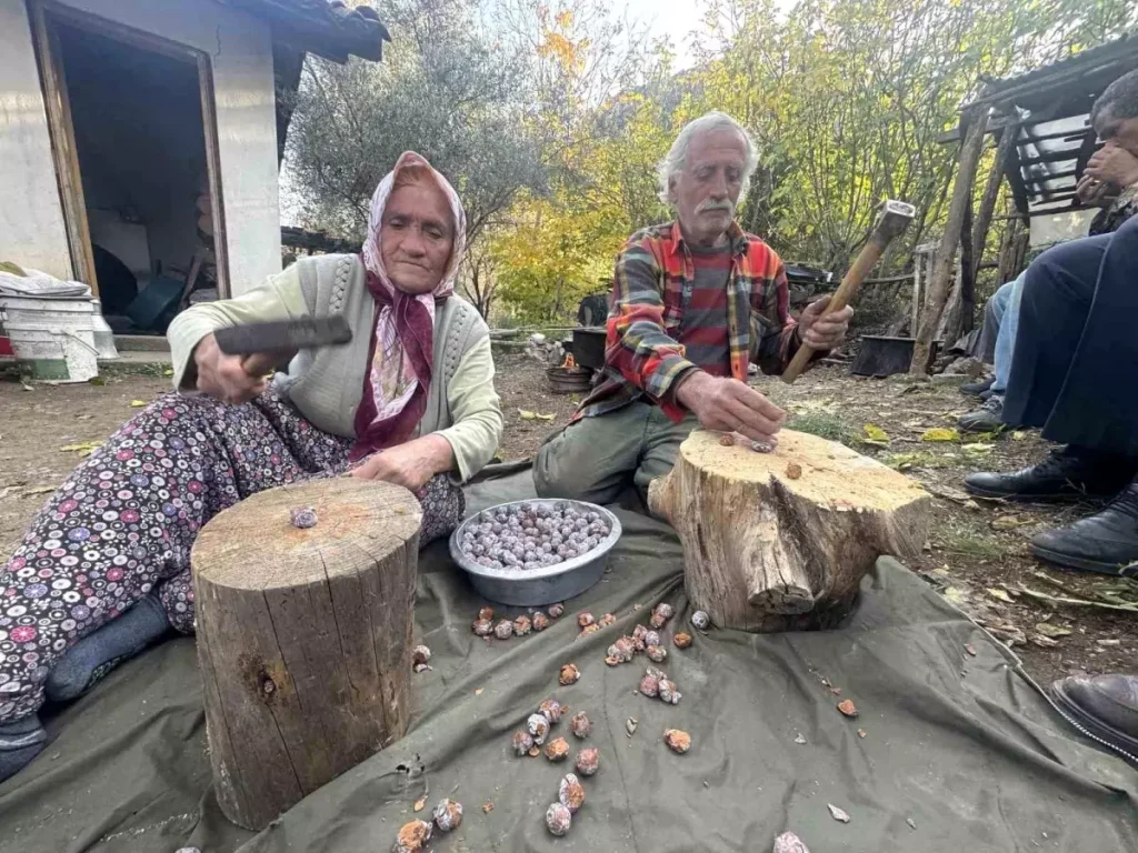 İbradı’da Andız Pekmezi Zenginliği