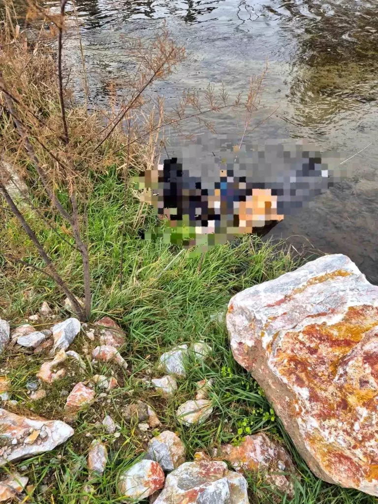 Tren Köprüsünde Feci Kaza