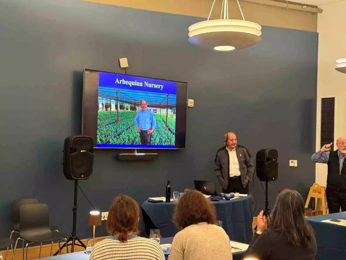 Zeytinyağı Uzmanı San Francisco’da