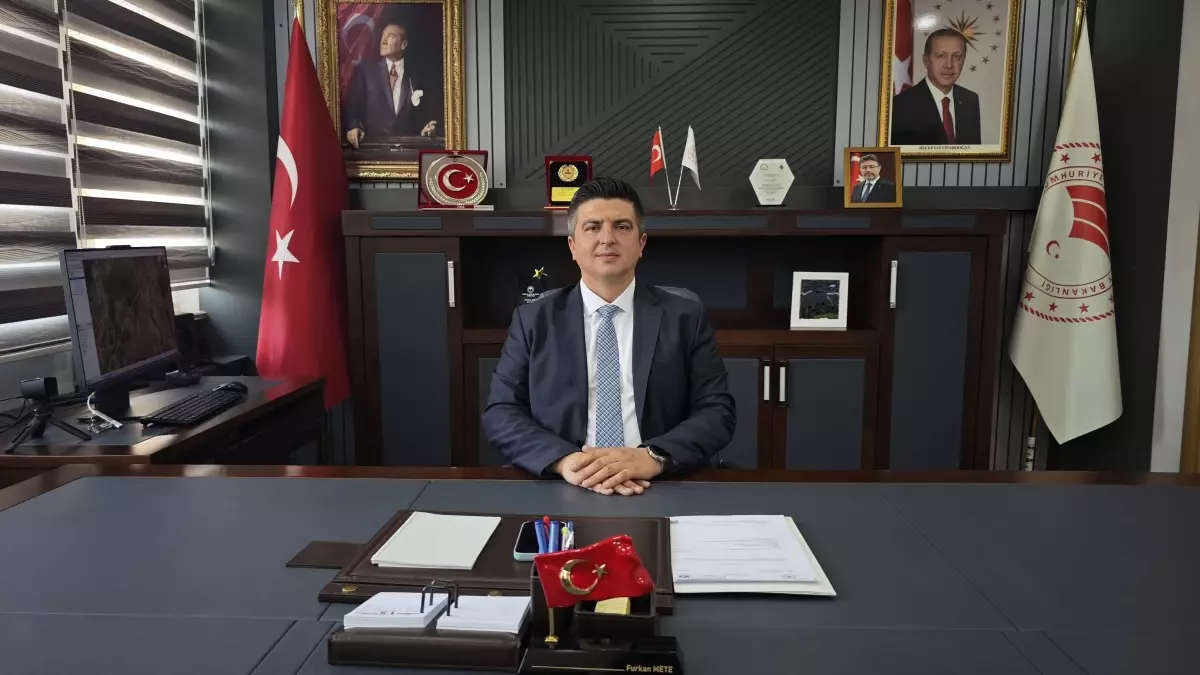 Niğde’de Beyaz Lahana Hasadı Tamamlandı