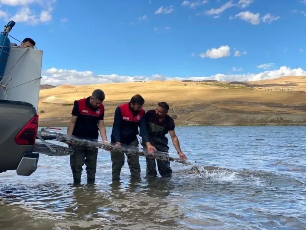2025’te 83 Milyon Balık Sulara Bırakılıyor: Türkiye’nin Su Ürünleri Stratejisi Genişliyor