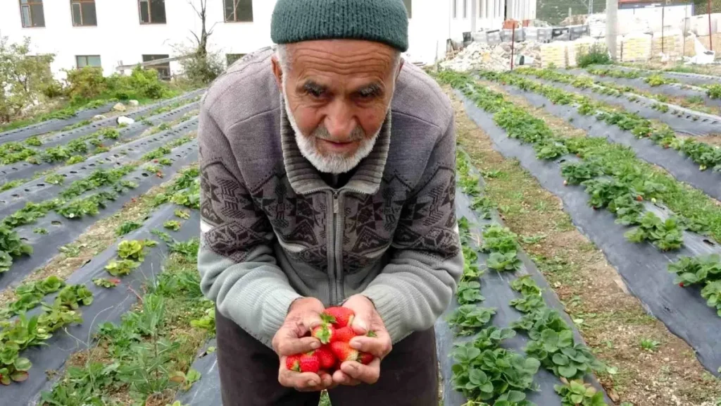 Hayırsever İbrahim Çakmakçı’nın Vefatı: Isparta’da “Hayır Bahçesi” Sarsıldı