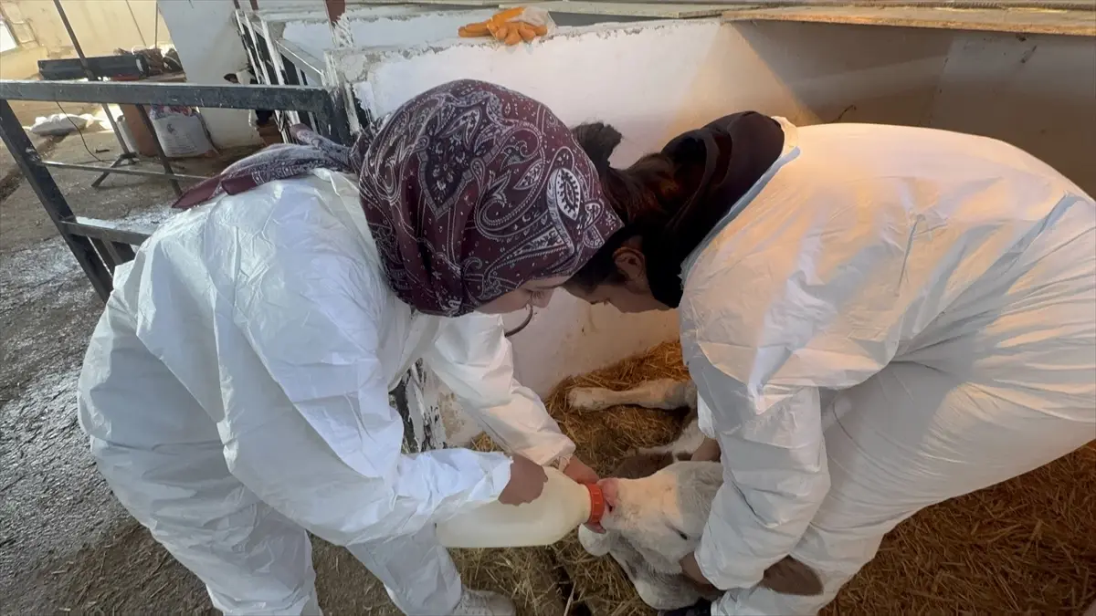 ISUBÜ Çiftliği: Öğrencilerin Pratik Eğitimi ve Şehrin Ekonomisine Katkısı