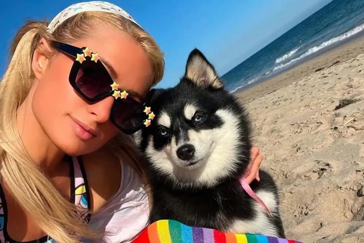 Ünlüler Arasında Evcil Hayvan Klonlama Çılgınlığı Patladı!