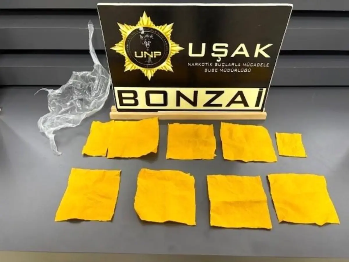 Uşak’ta Uyuşturucu Operasyonu: 1 Tutuklama