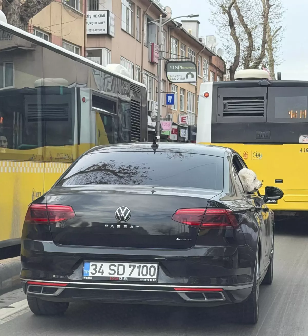 Üsküdar’da Yeni Başkan Eski Başkanın Makam Aracını Köpeğine Tahsis Etti İddiası