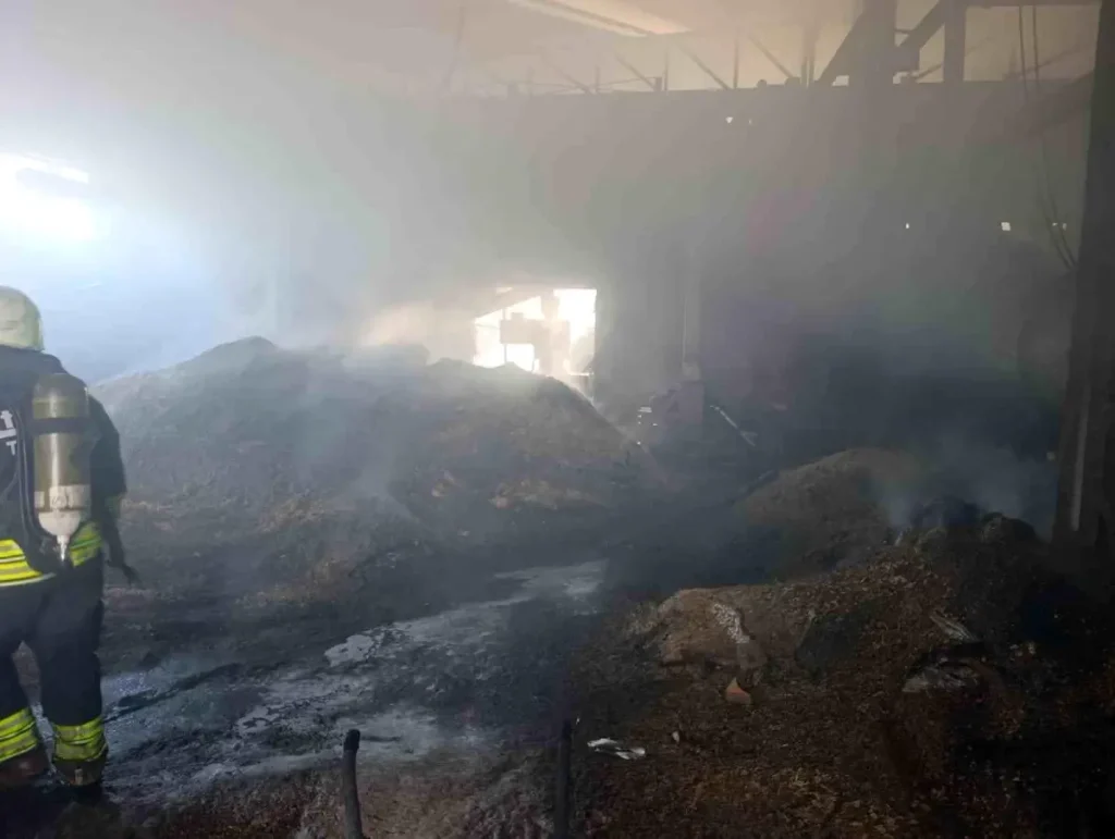 Kırklareli Vize’de Palet Fabrikasının Talaş Deposunda Şok Eden Yangın